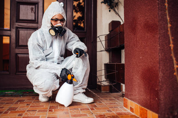 Attic and Crawl Space Rodent Treatment in Merion Station