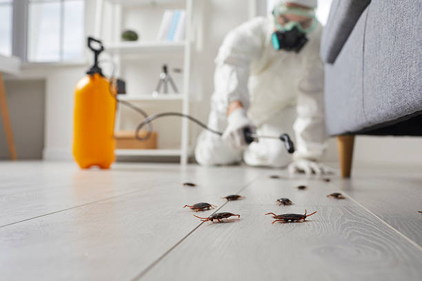 Commercial Rodent Management in Merion Station